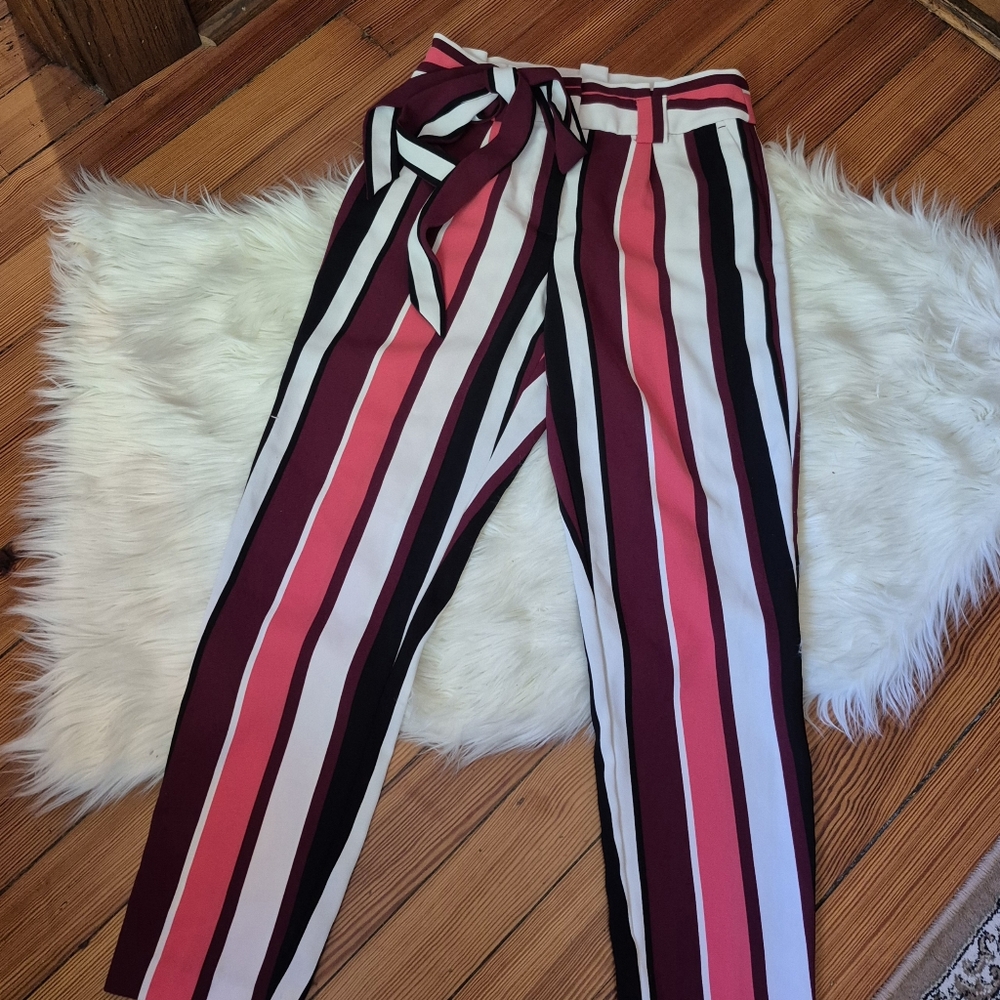 Express dress pants